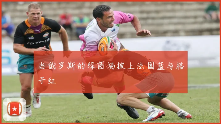 当俄罗斯的绿茵场披上法国蓝与格子红