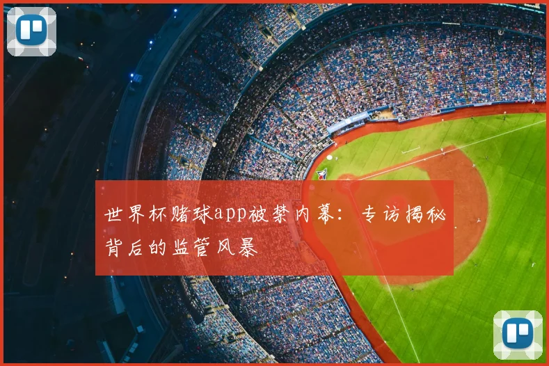 世界杯赌球app被禁内幕：专访揭秘背后的监管风暴