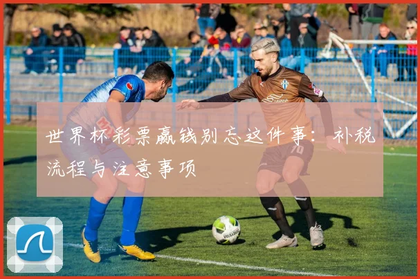 世界杯彩票赢钱别忘这件事：补税流程与注意事项
