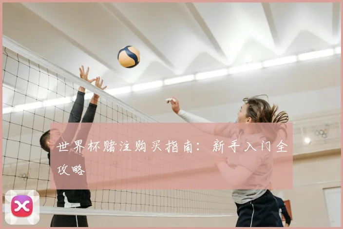 世界杯赌注购买指南：新手入门全攻略