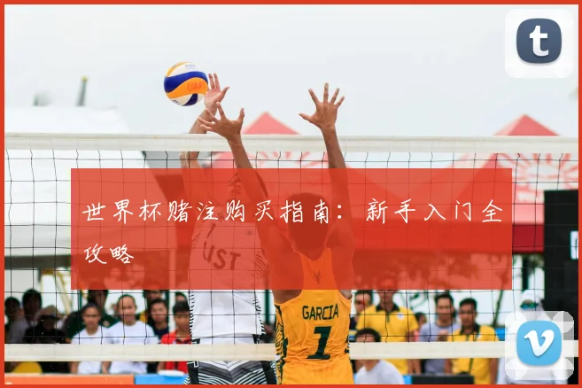 世界杯赌注购买指南：新手入门全攻略