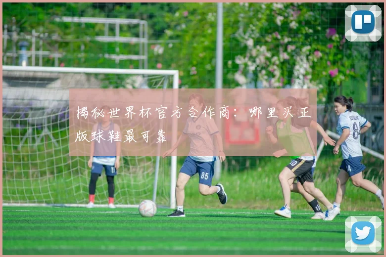 揭秘世界杯官方合作商：哪里买正版球鞋最可靠