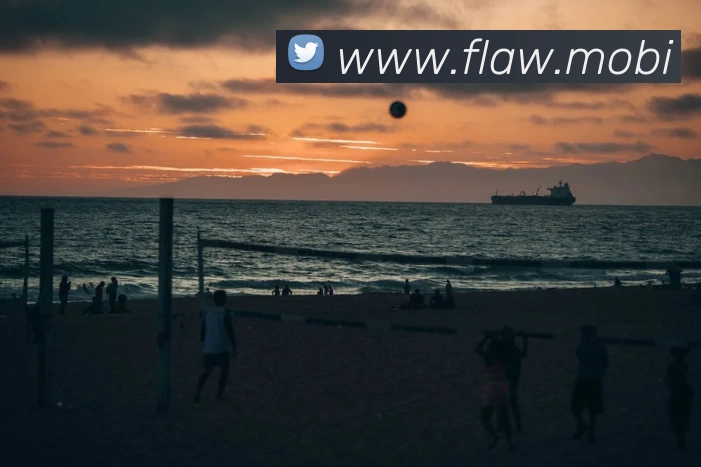 多媒体互动体验